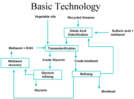 Biodiesel Production schedule